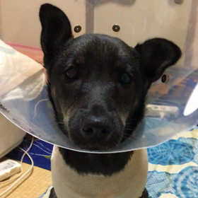 心がなくなった。の画像