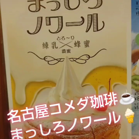 まっしろノワール(*^ω^)の画像