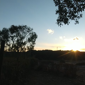 気まぐれに詩吟 ７回目「遠山に」の画像