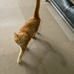 2023/07/08 今週のハナの画像