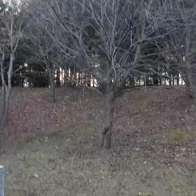 可愛い〜！の画像