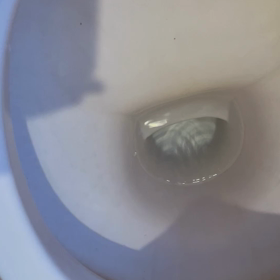 今日はアニメの日の画像