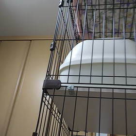 ムトちゃんも♪の画像