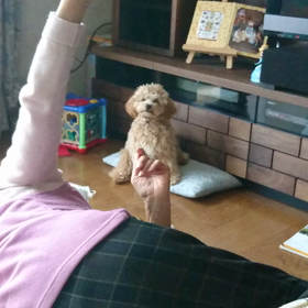 婆ちゃんとココちゃんの画像