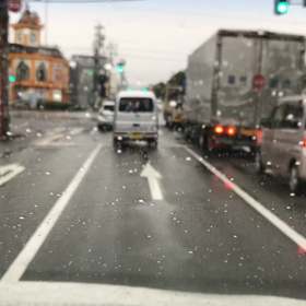 2/28    1日雨ですの画像