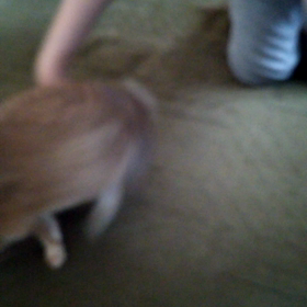 クルクル動画の画像