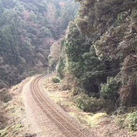 2017年は！の画像