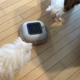 モップロボの画像