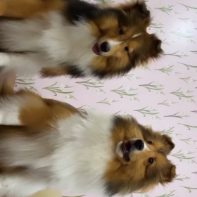 20211115 Win IGSの画像