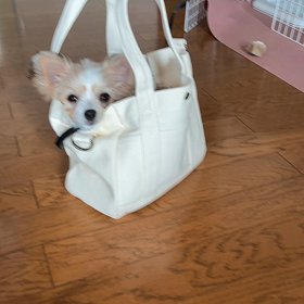 ようこそ❤️我が家へ❤️の画像