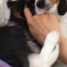 ■甘やかしママ■の画像