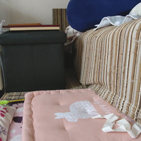 キモい動きをする生物の画像