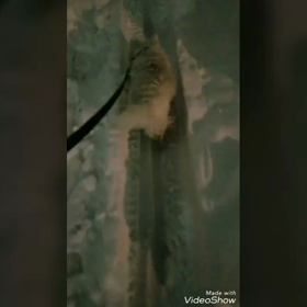 雪の日の日記の画像