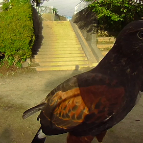 久しぶりの公園の画像