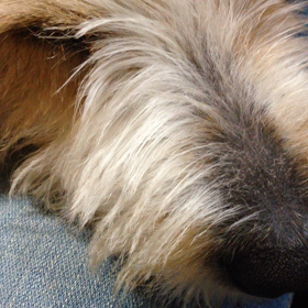 動けない！の画像