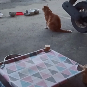 今天的你們の画像