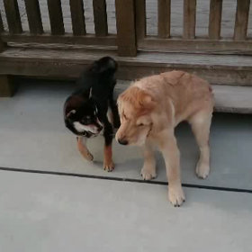 合宿9日目の画像