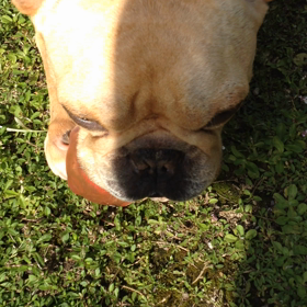 取れるもんなら取ってみんかいボール遊びの画像