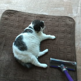 最近諦めたことの画像