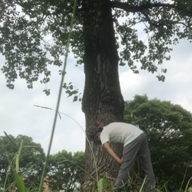 まだ、まだか〜くそ〜ッ、俺の本調子〜☕️の画像