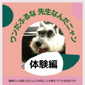 理想の人が見つかりましたの画像