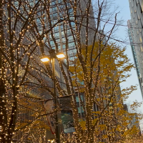 Happy Holidaysの画像