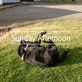 日曜日の午後！！(動画)の画像