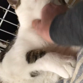 妹がいなくて寂しいのかなぁ〜の画像