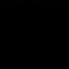 昨日の演奏…。の画像