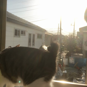 愛しくて、キスしたい！の画像