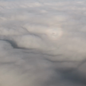 た、だいまーの画像