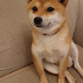 お世話になりました！の画像