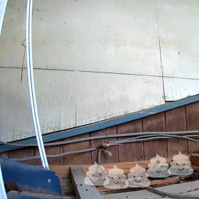 すぎぴたんの事件簿シーズン3　119話（年末は何してましたか？）の画像