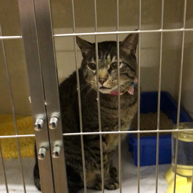 お泊まり♡はるちゃんの画像