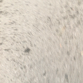 雨上がり。の画像