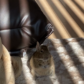 おーい(*´艸`)wwの画像