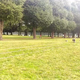 往復バトン練習①の画像