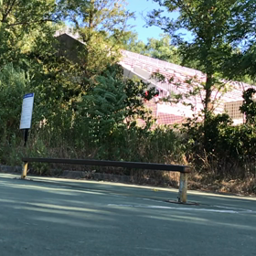 通勤途中のスケート    その2の画像