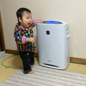 帰京とあんよ。の画像