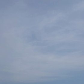 新しい❗の画像