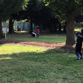 航空公園ジャベリック練習③の画像