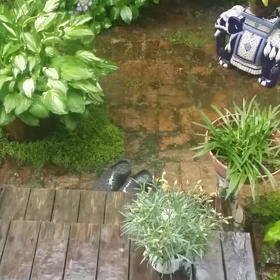 高知らしい雨（追加あり）の画像