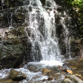 龍双ヶ滝・日本の滝百選の画像