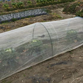 ３名様ご来店！今日は食べ放題ですか？の画像