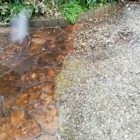 初雪かな…の画像