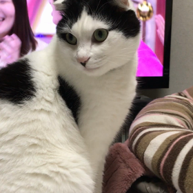 昨夜のことですが…の画像