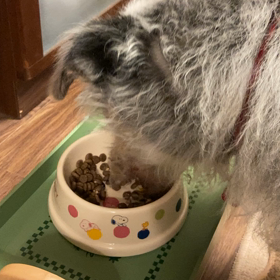 誕生日＆卒業おめでとうの画像