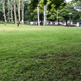 ジャベリック練習⑧の画像