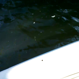 動画撮影してみたら！の画像