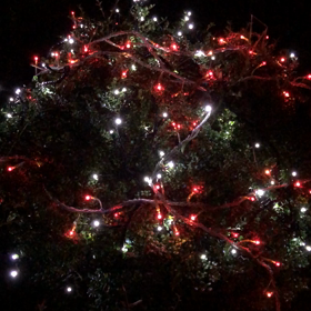 テンション上がる〜の画像